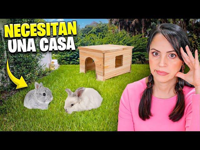 Ahora Hay Que Pensar en una Casa para los Conejitos  Sandra Cires Vlog