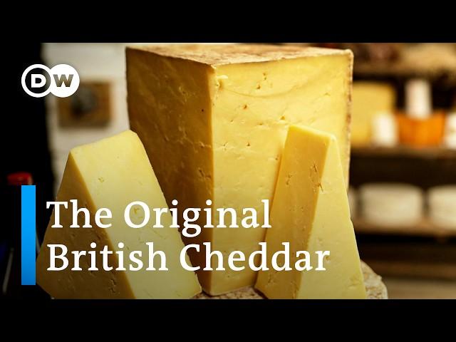 How traditional British Cheddar is made in Somerset