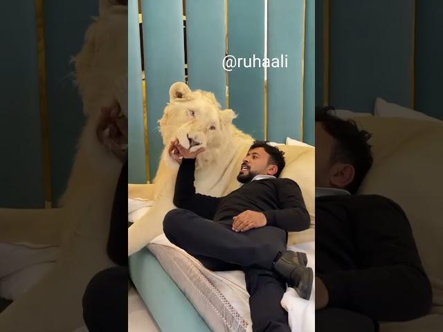 Dubai sheikh with Lion || Dubai life style