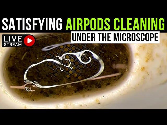 AirPods cleaning under the microscope LIVE at Phone Fix Craft