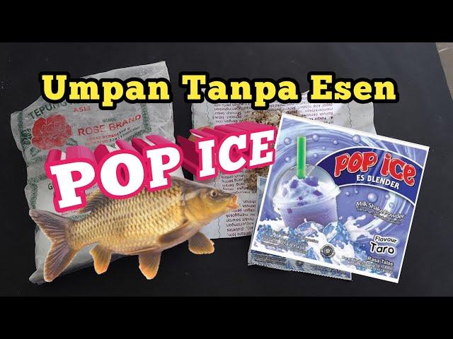 Umpan Putih Ikan Mas Tanpa Esen || umpan pop ice