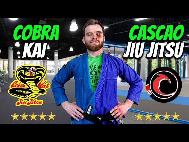 I Survived The Highest Rated Jiu Jitsu Gyms In Las Vegas