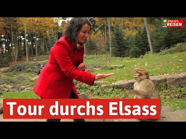 Das Elsass entdecken - eine Tour von Eguisheim über Colmar bis zur Hochkönigsburg, Spar mit! Reisen