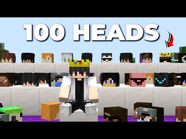 Why I Collected 100 Heads in this Minecraft Server