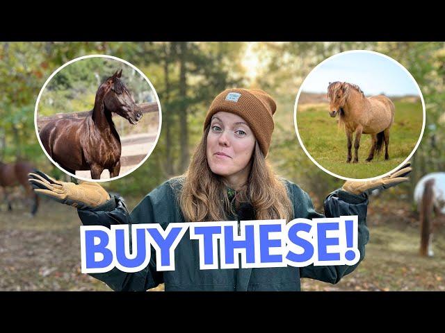 The 5 Best Horse Breeds for Trail Riding!