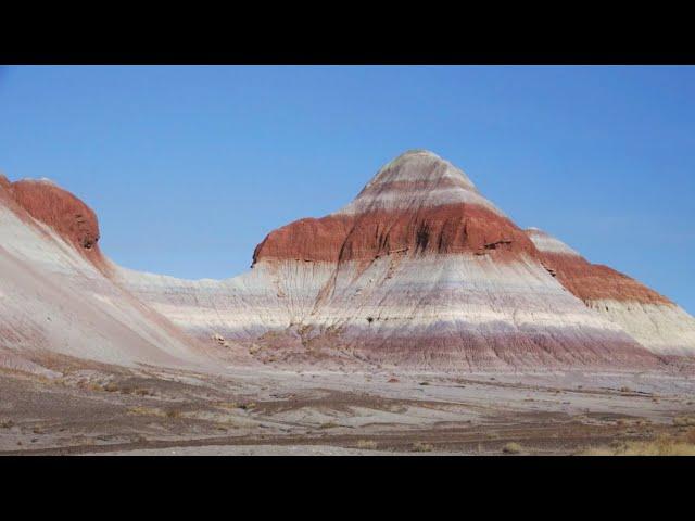 Petrified Forest National Park