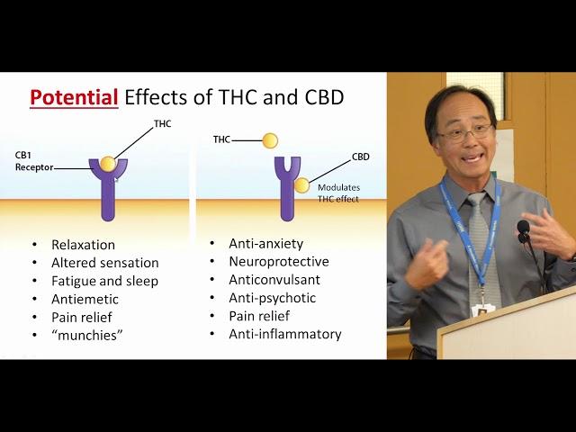 Cannabis and the Heart-  April 18 2019