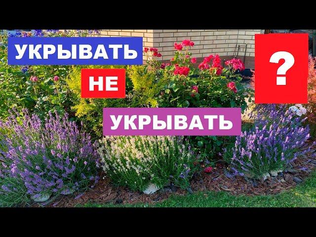 Укрывать не укрывать - вот в чём вопрос!