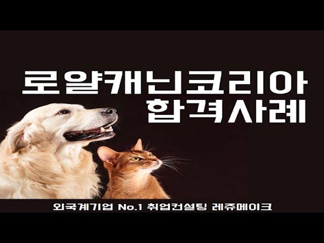 로얄캐닌 코리아 채용 면접질문과 최종합격 성공사례 Royal Canin