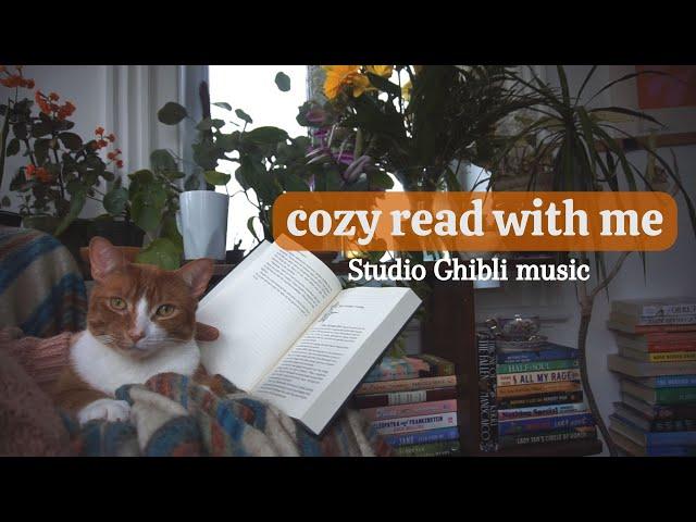 read with me  30 min real-time & relaxing Studio Ghibli music 