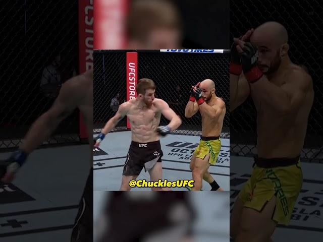 Cory Sandhagen KO’s Marlon Moraes #ufc #mma #ufcshorts