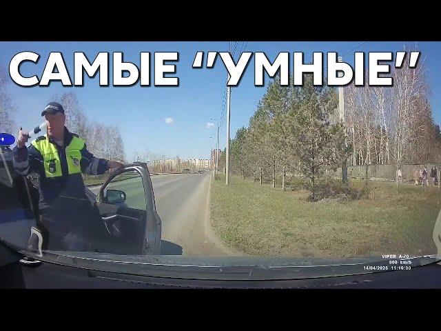 Подборка САМЫХ "УМНЫХ" водителей #1122