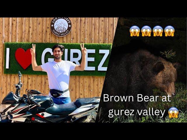 Full tour of gurez valley ️|| Bear at gurez valley  || Gurez valley part 3 ||