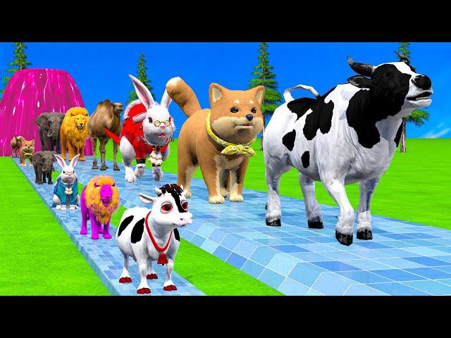 Paint & Animals Cow,Monkey,Dog,Rabbit,Camel,Elephant Fountain Crossing Transformation Animal Cartoon