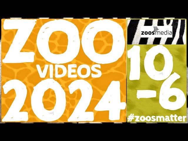 Top 10 ZOO-VIDEOS 2024: Platz 10-6  | zoos.media