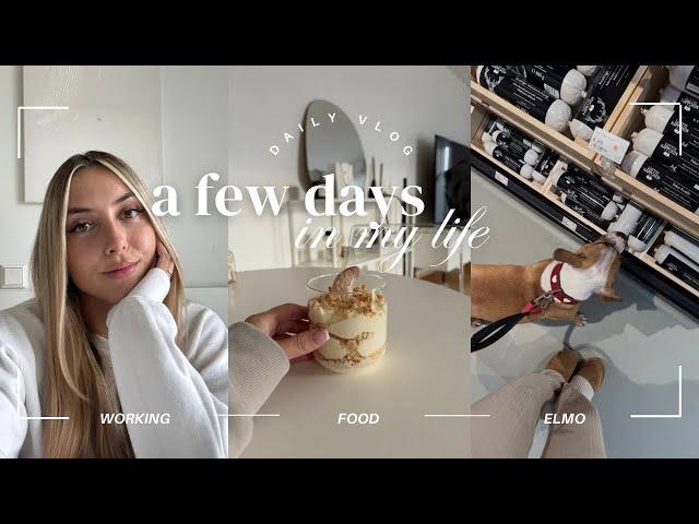 Winter Rezept, what I eat & einkaufen für Elmo  | DAYS IN MY LIFE