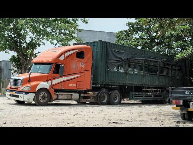 Trucks in Vietnam 