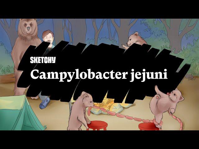 Campylobacter jejuni: Causes, Symptoms & Complications (Full Lesson)| Sketchy Medical | USMLE Step 1