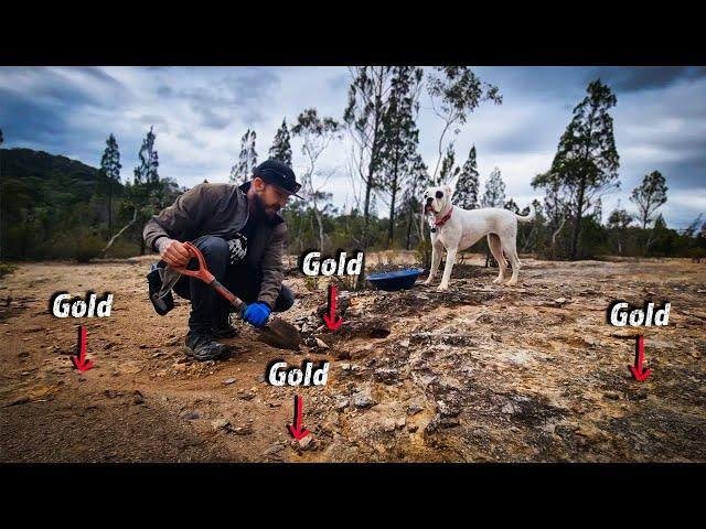 How to Find GOLD & track it back to the BIGGEST deposits!