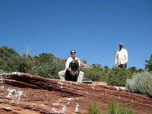 California condor released at BLM's Vermilion Cliffs National Monument