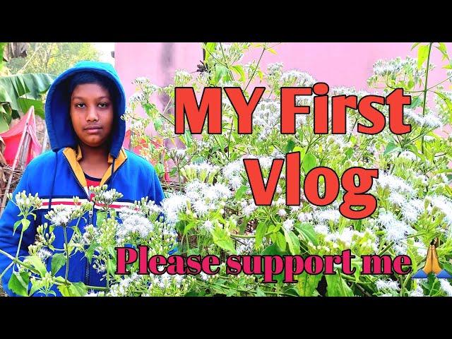 MY FIRST VLOGMY FIRST VIDEO ON YOUTUBE️️MAHARSHI VLOG..