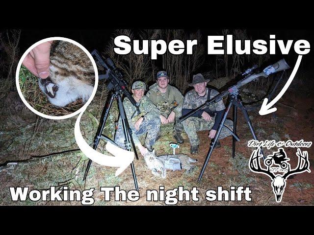 We killed one of the most elusive animals!