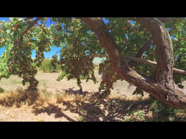 UNESCO World Heritage Turkey 360 | The Seven Sleepers