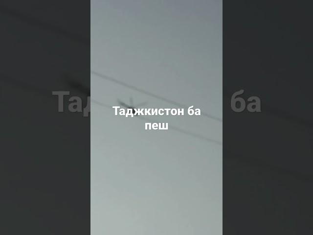 1 апреля 2023 г.