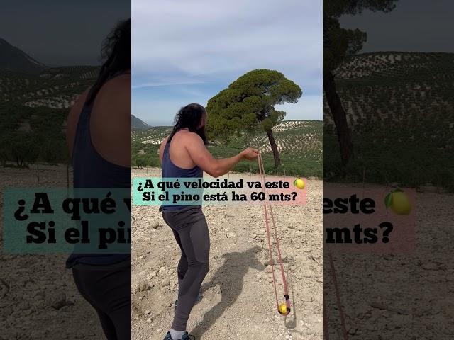 ¿A qué VELOCIDAD va este  si el PINO está ha 60 mts?