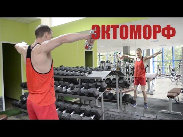 ВИКТОР ДУБОВ. ЭКТОМОРФ. КТО ТАКОЙ ЭКТОМОРФ . ЭКТОМОРФ В ЗАЛЕ .