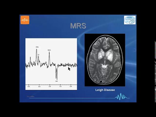 ISMRM MR Academy - Metabolic Disorders