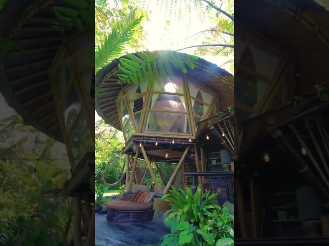 Bali's most famous Eco Bamboo Homes  #bali #architecture #bamboohouse #design