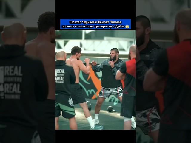 Шовхал Чурчаев и Хамзат Чимаев провели совместную тренировку в Дубае 