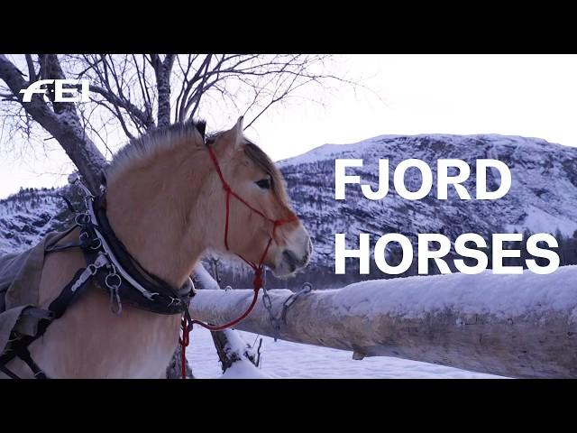 Sleigh rides in the arctic Norway  | RIDE presented by Longines