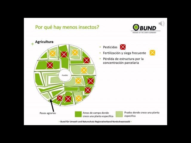 Proteger los insectos y las abejas silvestres. Información y consejos de BUND-Nordschwarzwald