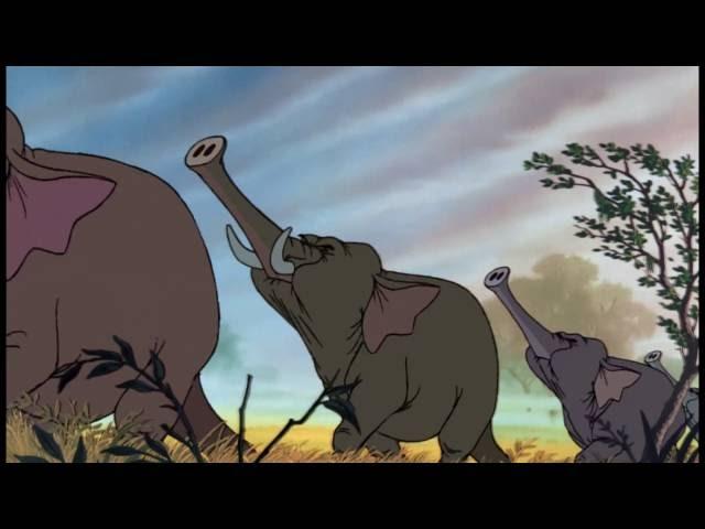 Jungle Boek | Liedje: Kolonel Hatie's Mars | Disney NL