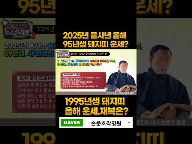 2025년 95년생 돼지띠 운세 보는 법! 손준호 작명소가 알려주는1995년  돼지띠생 신수 운세 정리 [명품작명TV] #서초구 작명소 #강남구 작명소