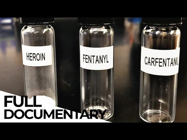 TRANQ, FENTANYL & More -  How Big Pharma is destroying the American Society | ENDEVR Documentary