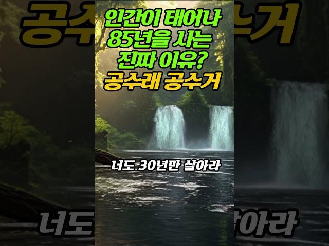 인간이 태어나 85년을 사는 진짜 이유ㅣ공수래 공수거 - 인생조언ㅣ삶의지혜 ㅣ인생명언#오디오북#조언#지혜#명언#인생#50대#60대#법정#법륜#40대#좋은글#행복#쇼츠#김창옥#인생