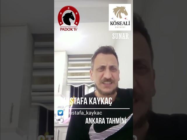 ANKARA At Yarışı Tahminleri // Mustafa KAYKAÇ