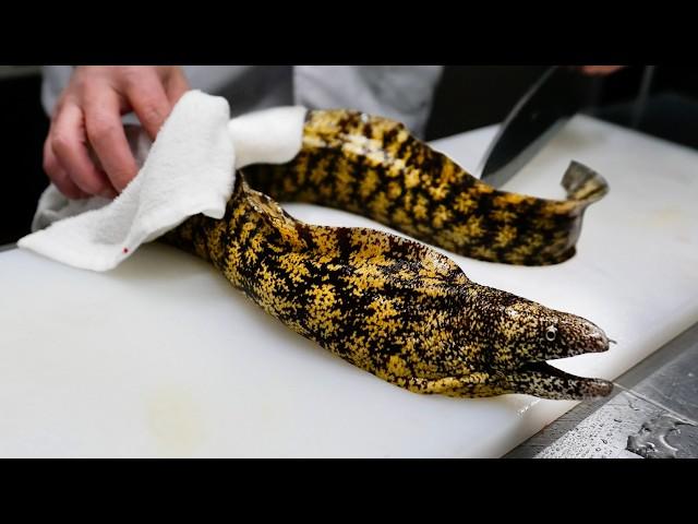 Japanese Food - MORAY EEL AND AMBERJACK FISH Sushi Kinari Tokyo Seafood Japan