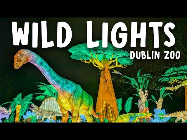 Wild Lights - Dublin Zoo 2024 