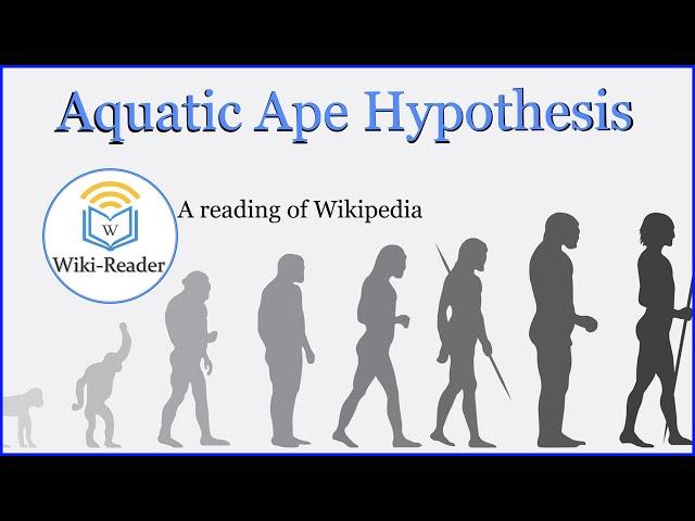 Aquatic Ape Hypothesis  Aquatic Ape Hypothesis Wikipedia Must Watch!- Wiki-Reader