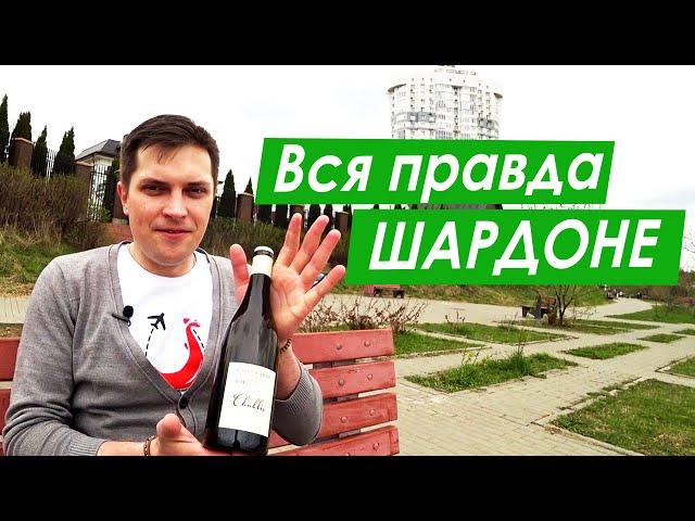 Шардоне. Рассказываем всё про вино шардоне. Chardonnay wine.  Сорт винограда Шардоне.