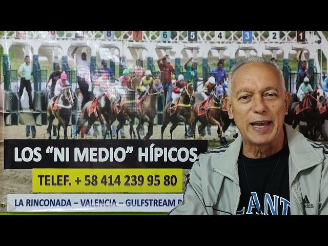 LOS "NI MEDIO" HÍPICOS VALENCIA 29/6/24 SUSCRIPCIÓN 37,00 BS MENSAJE VÍA WHATSAPP +58 414 239 95 80