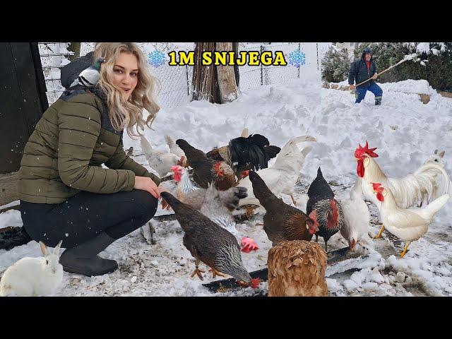 SEOSKI ŽIVOT ZIMI- kako izgleda NAŠ DAN? POSLJEDICE SNIJEGA @@@