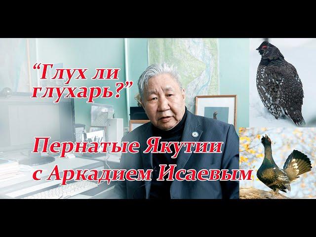 От чего глух глухарь? Рассказы якутского орнитолога