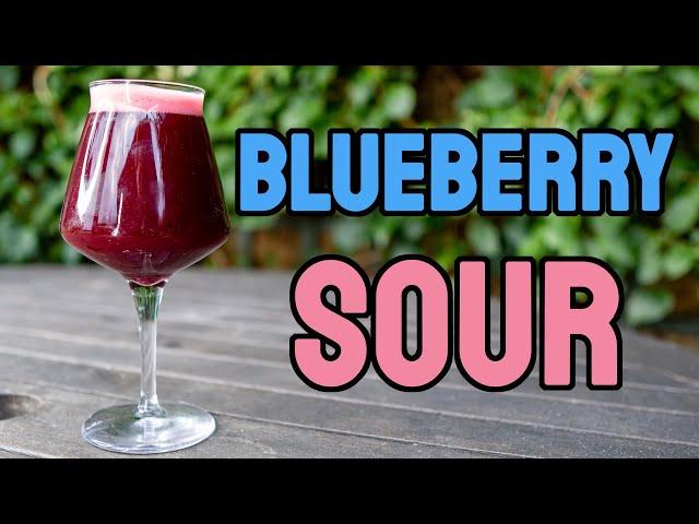 Brew Blueberry SOUR BEER with Philly Sour Yeast (No Lacto!)