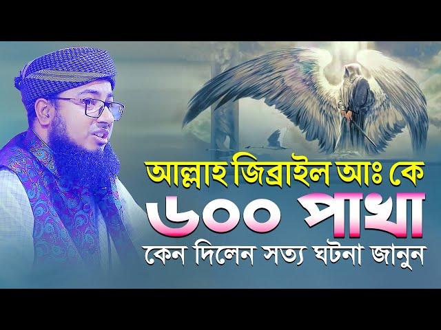 আল্লাহ জিব্রাইল আঃ কে ৬০০ পাখা কেন দিলেন সত্য ঘটনা জানুন || মুফতি জহিরুল ইসলাম ফরিদী