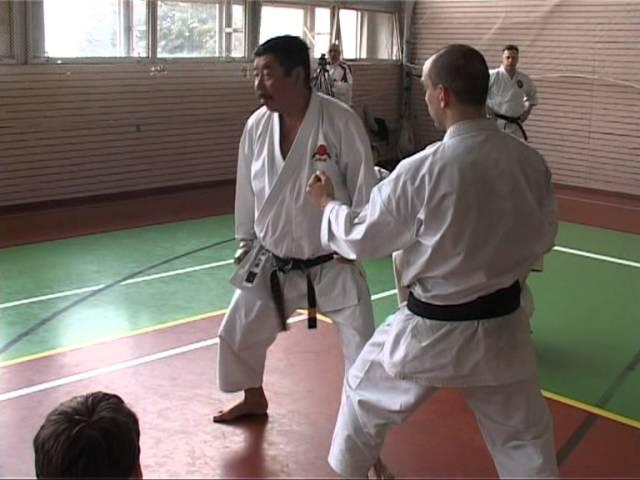 IJKA Russia - 44th Stage Sensei Kato 9 Dan in Moscow